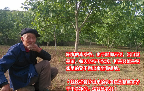 一果核桃：助力核桃富民
