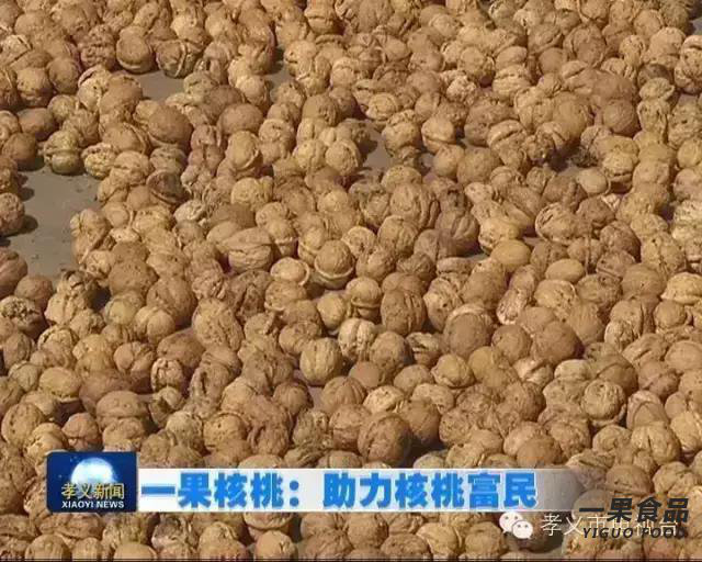 一果核桃：助力核桃富民