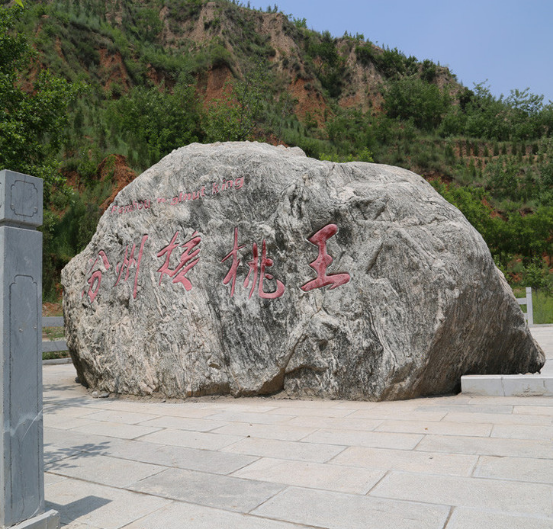 一果核桃：助力核桃富民